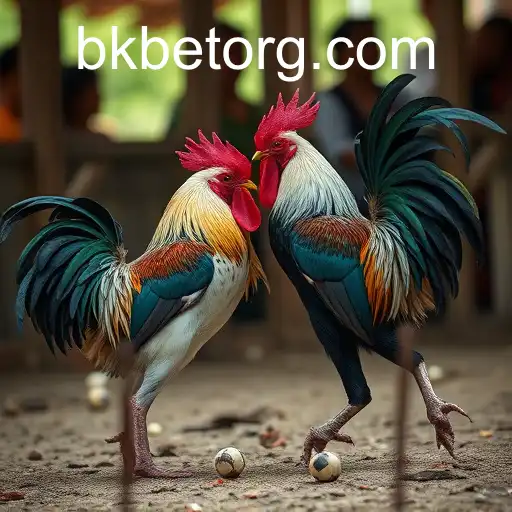 VIP Service bkbet - 24/7 Support and Exclusive Benefits